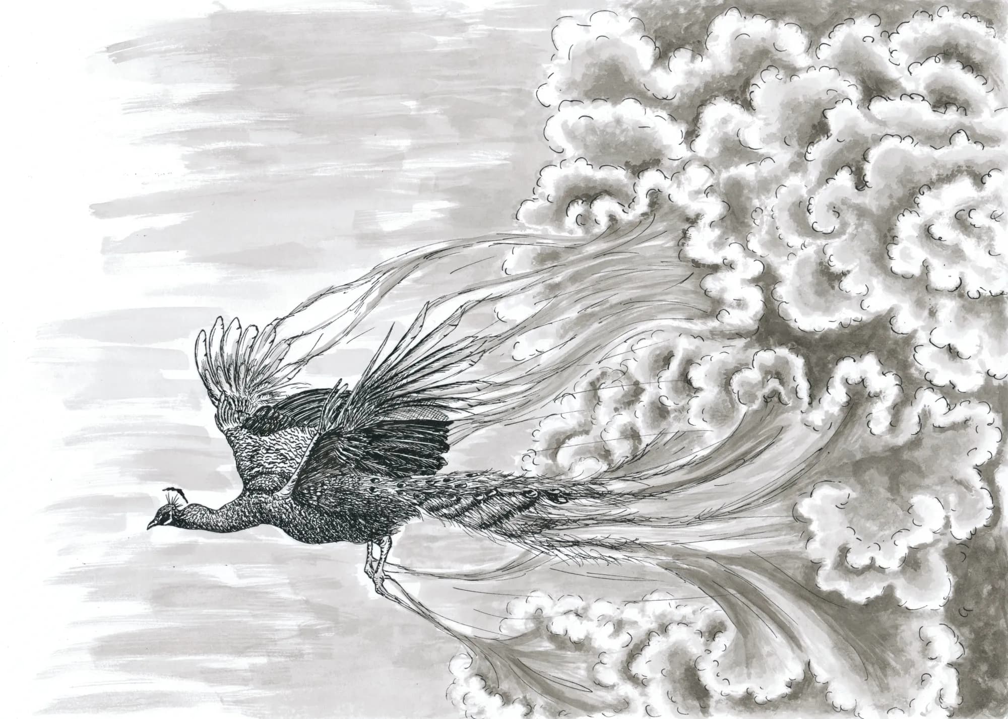 Balada bouře (Ilustrace Souhvězdí nomáda)