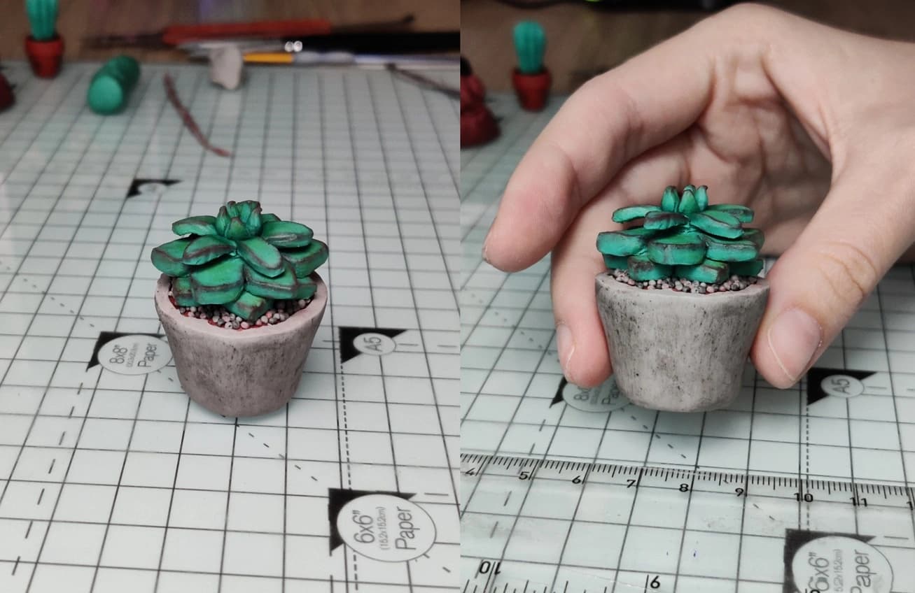 Mini sukulent